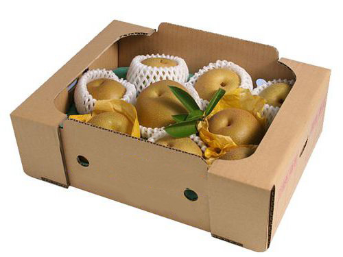 走进湖州纸箱厂，感受纸箱包装的魅力